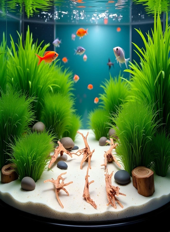Labriciyon 1Pc Natural Aquarium Driftwood Branches Wood Aquarium Trunk Driftwood Tree Fish Tank Log Decoration Plant Stump, Assorted Size(8-10cm),Ornaments, Décor Thematic Ornaments,Pet Supplies - Image 2